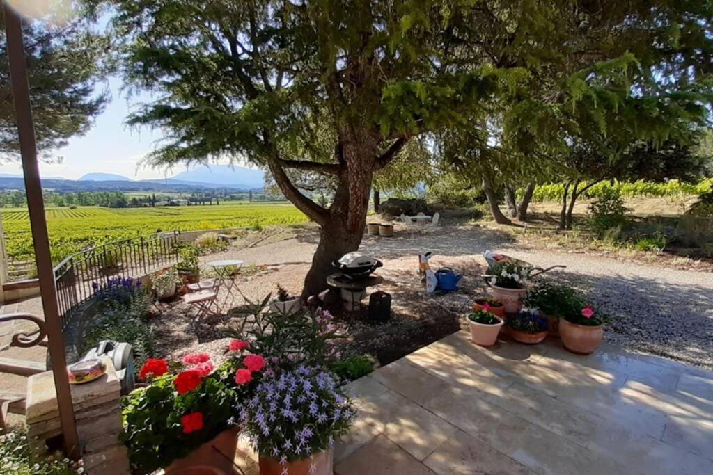 Roaix Le Clos Des Pins, Vue Mont Ventoux מראה חיצוני תמונה